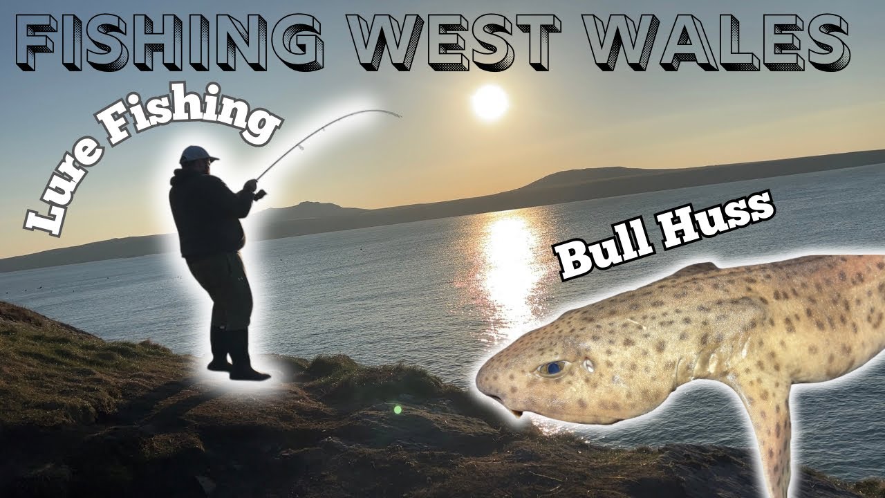 Fishing West Wales St Davids l Shore Fishing St Justinians For Mixed Species