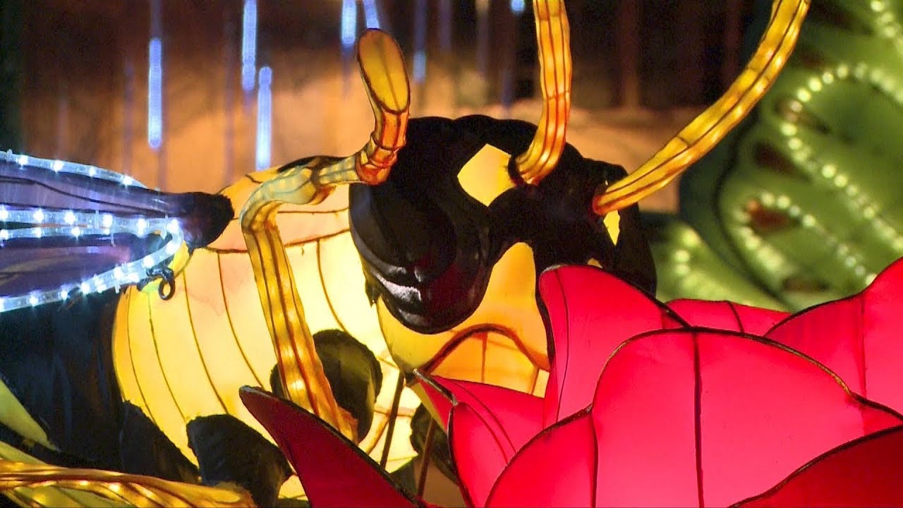 French town hosts Chinese lantern festival in Europe&rsquo;s first
