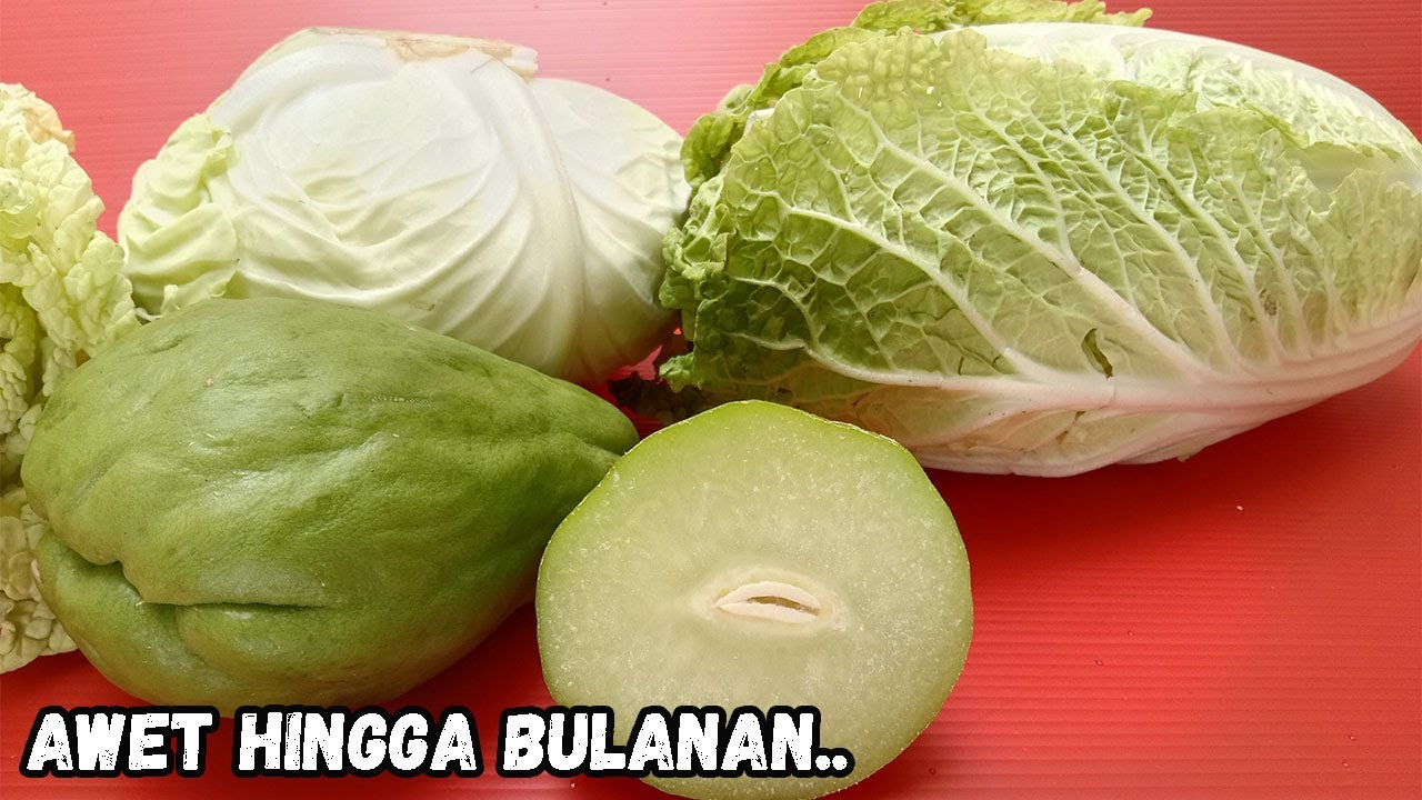 Cara Simpan Labu Siam, Sawi Putih & Kubis Awet Hingga Bulanan..