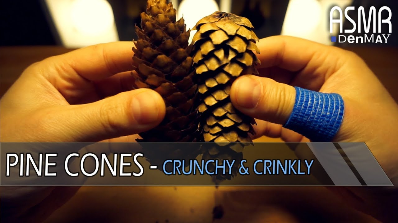 ASMR Pine Cones, Crunchy & Crinkly (NO TALKING)