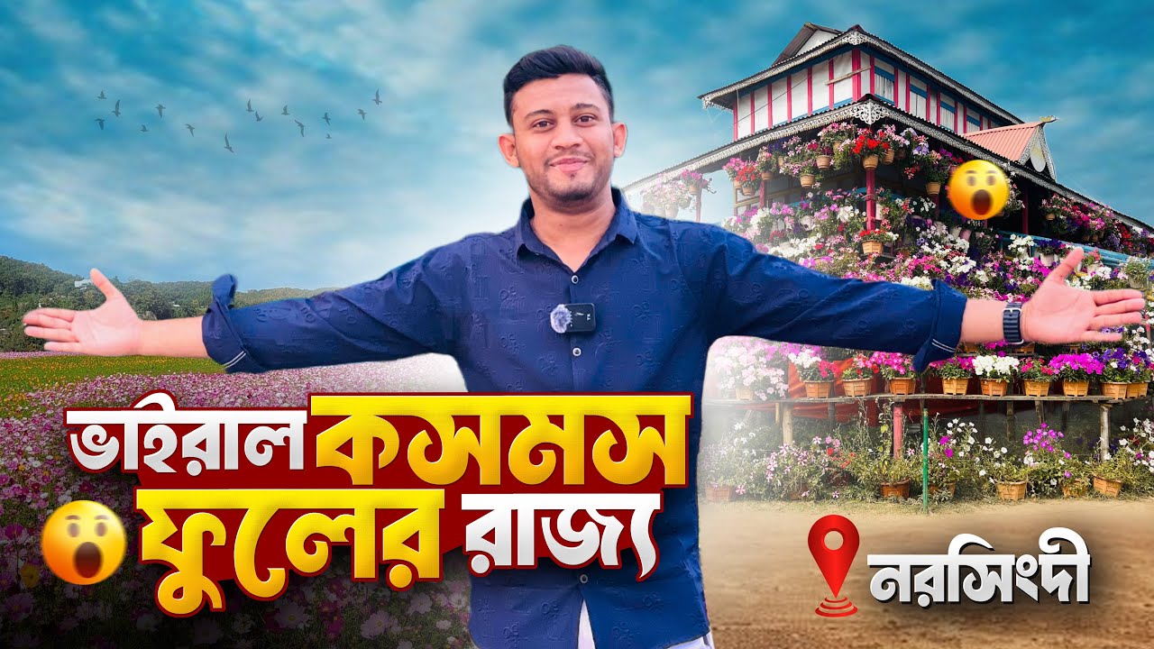 নরসিংদীর ভাইরাল কসমস ফুলের রাজ্য! 😱 ঢাকার কাছেই Day Long Tour | Sunflower Garden | Narsingdi
