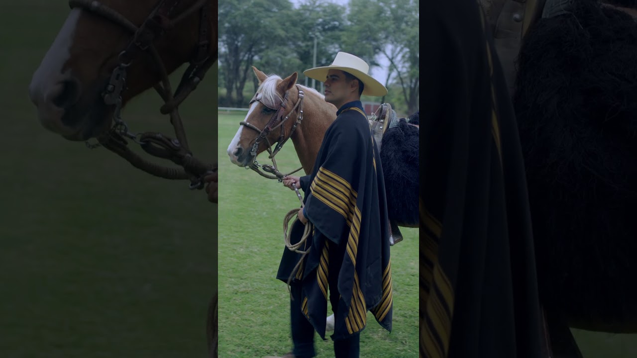 Reel Elegancia y tradición
