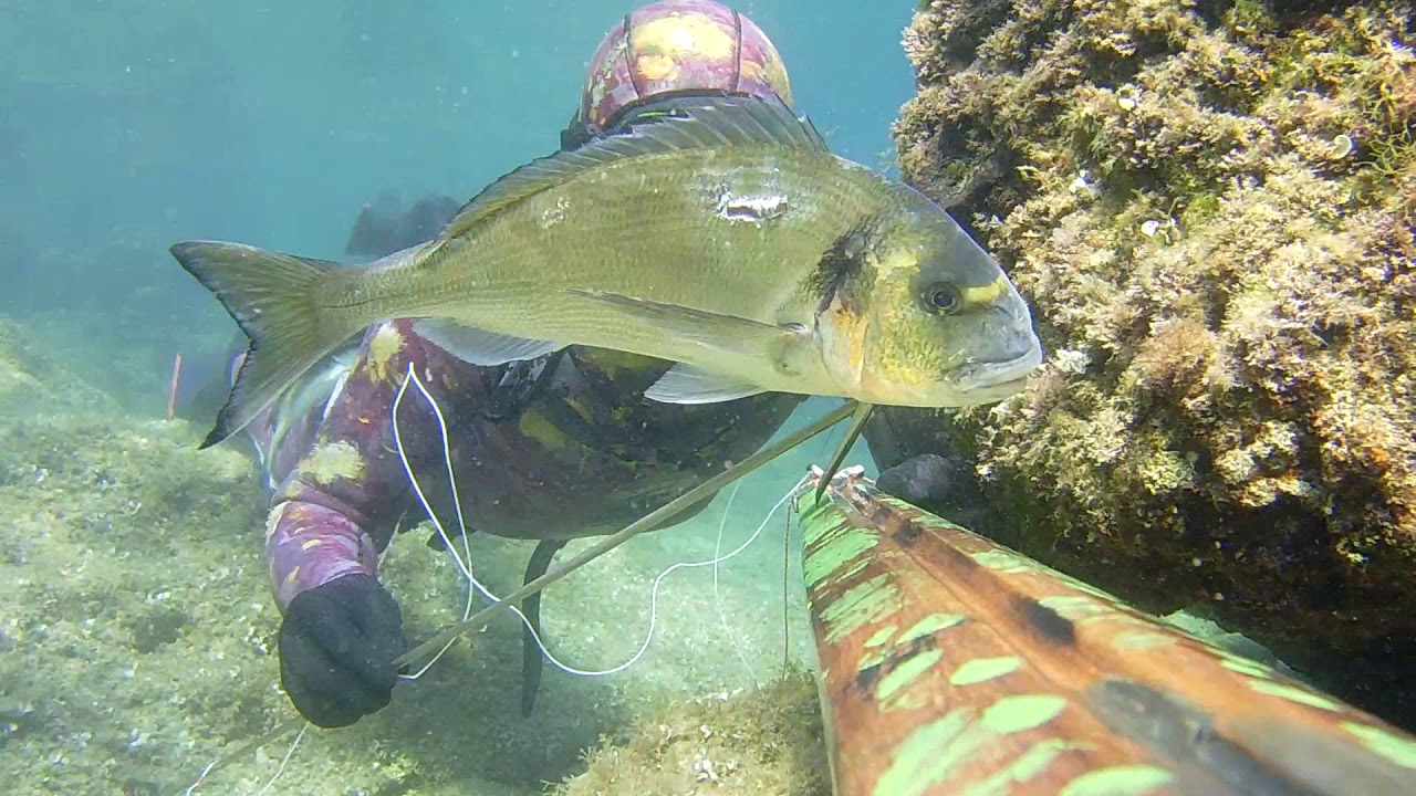 Spearfishing island Krk - 2020