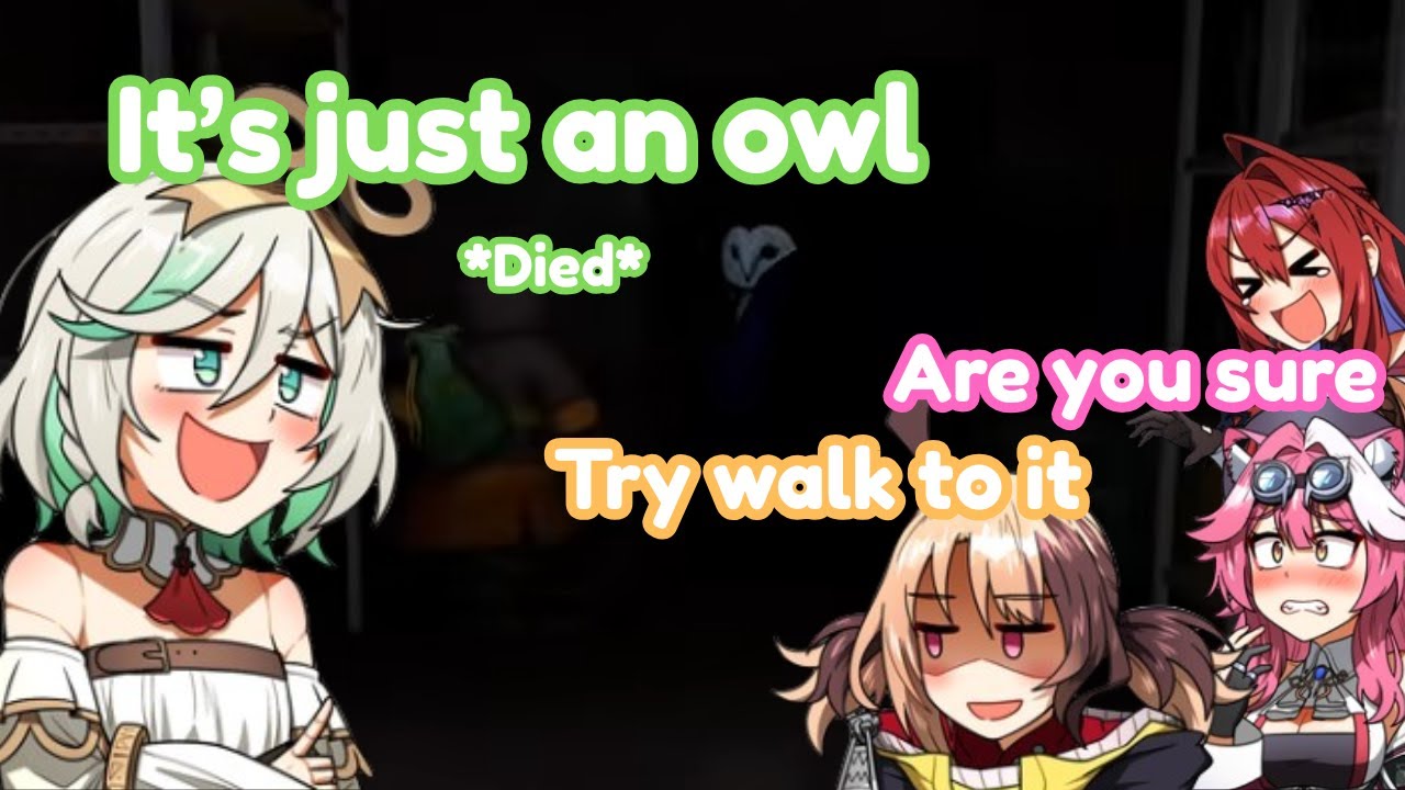 Justice casually sending their lifes to the owl one by one