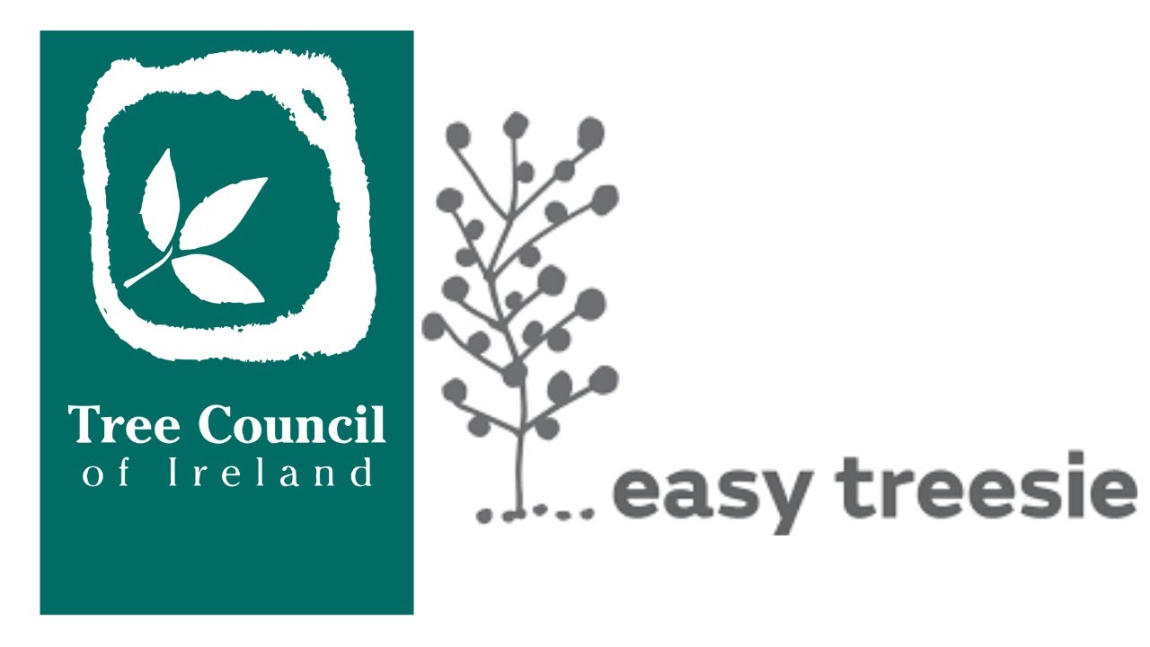 The Easy Treesie Story - Film Friday! (Tree Council of Ireland Webinar)