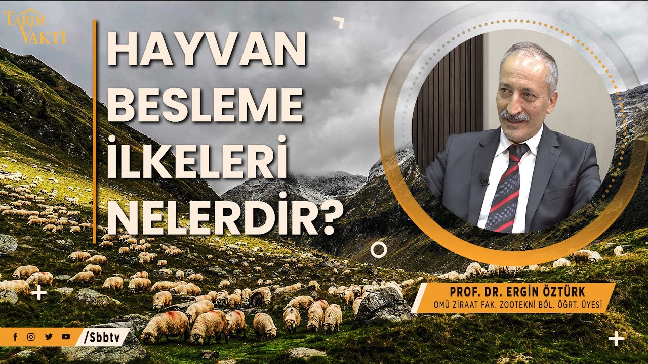 Hayvan Besleme İlkeleri Nelerdir?  |  Tarım Vakti