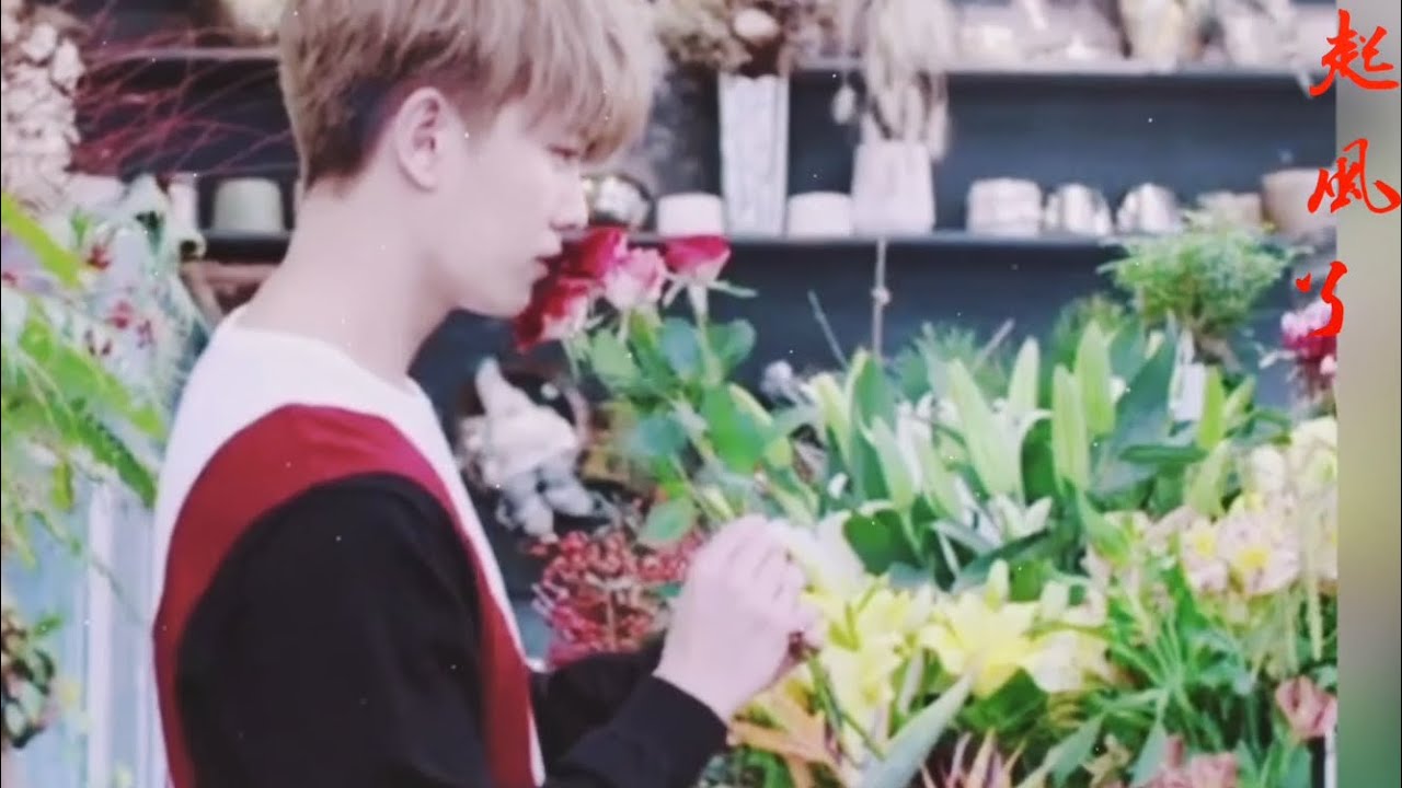 [Vietsub+Kara] Gió Nổi Lên Rồi - Diễn viên Nhậm Gia Luân | Lỡ bước sa vào nụ cười của người