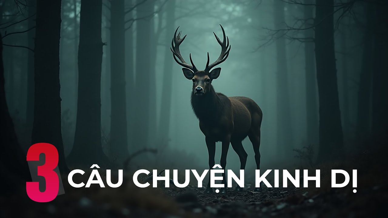 【 r/Nosleep 】3 Câu chuyện kinh dị được kể lại | Ducky #nosleep