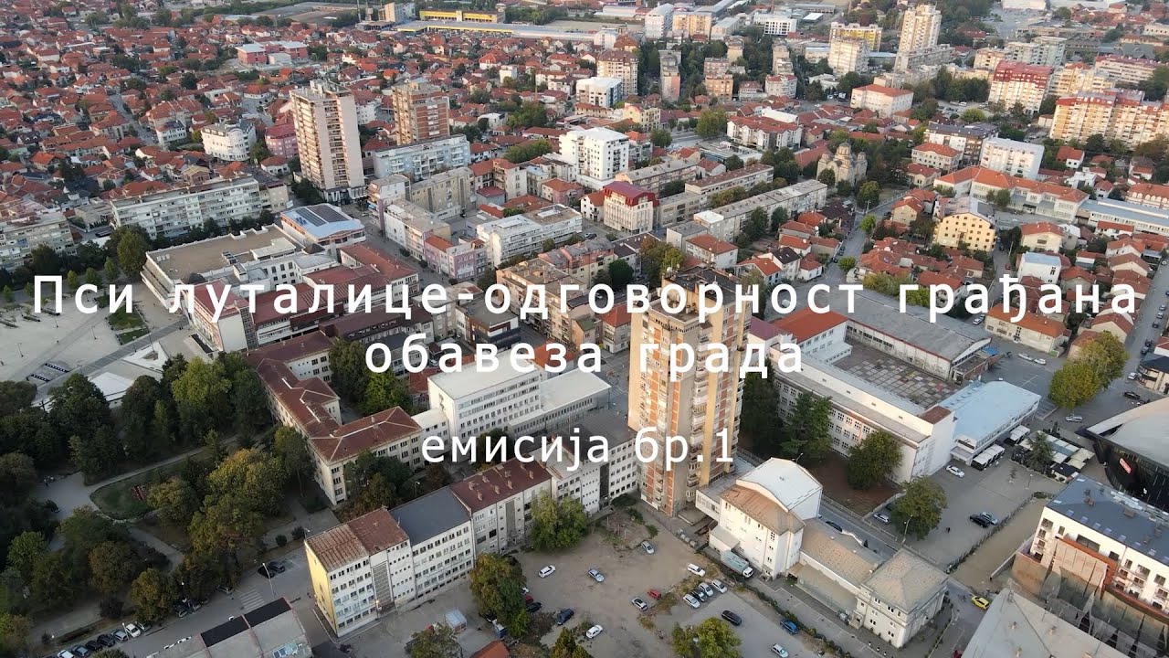 Пси луталице - одговорност грађана, обавеза града - емисија бр. 1