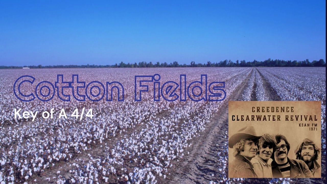 Cotton Fields  A  Clipchamp
