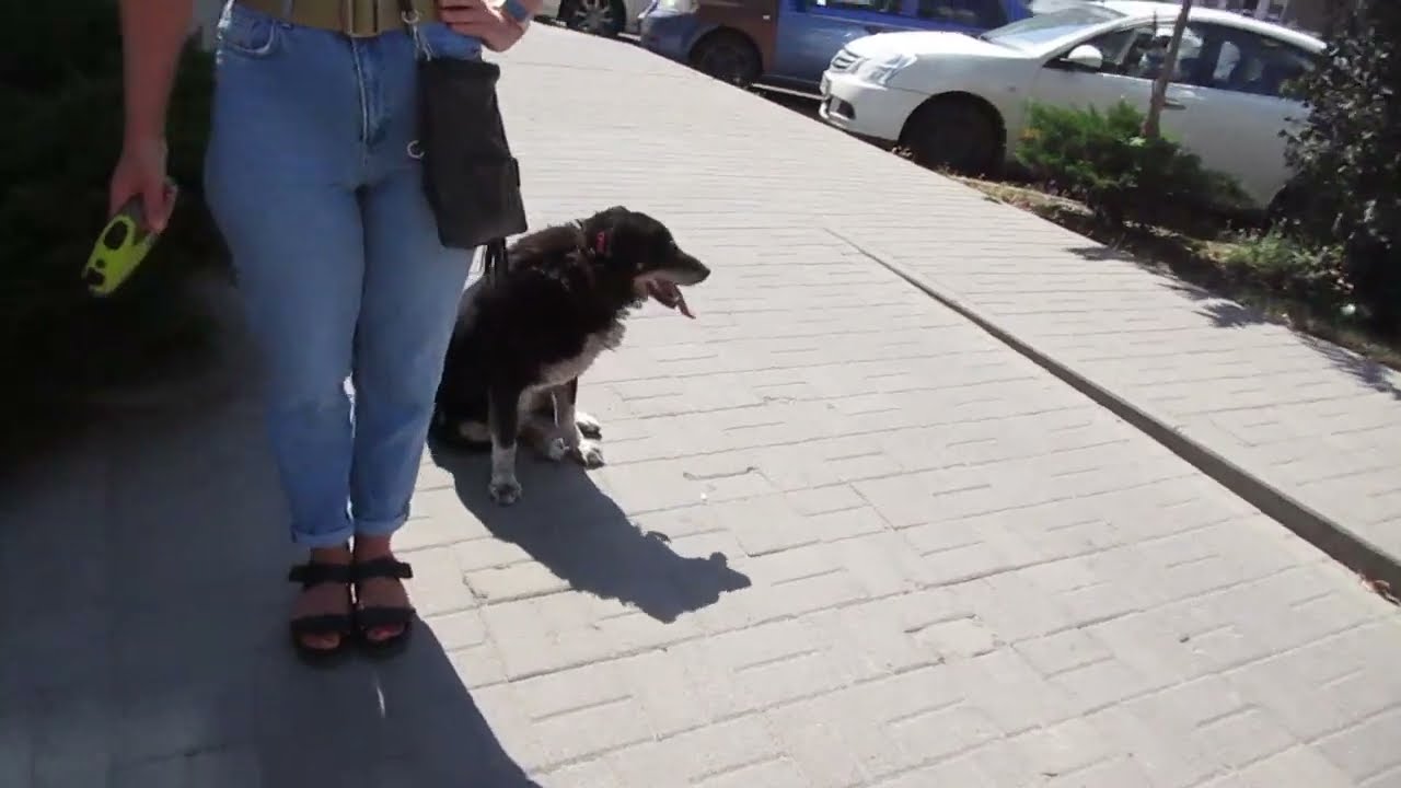 Ростов-на-Дону. Улица Текучёва. От Ворошиловского проспекта до проспекта Будённовского. Август 2022.