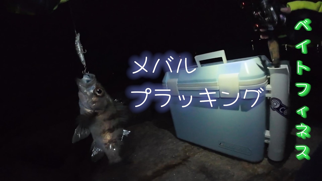 ベイトフィネスな、メバルプラッキング