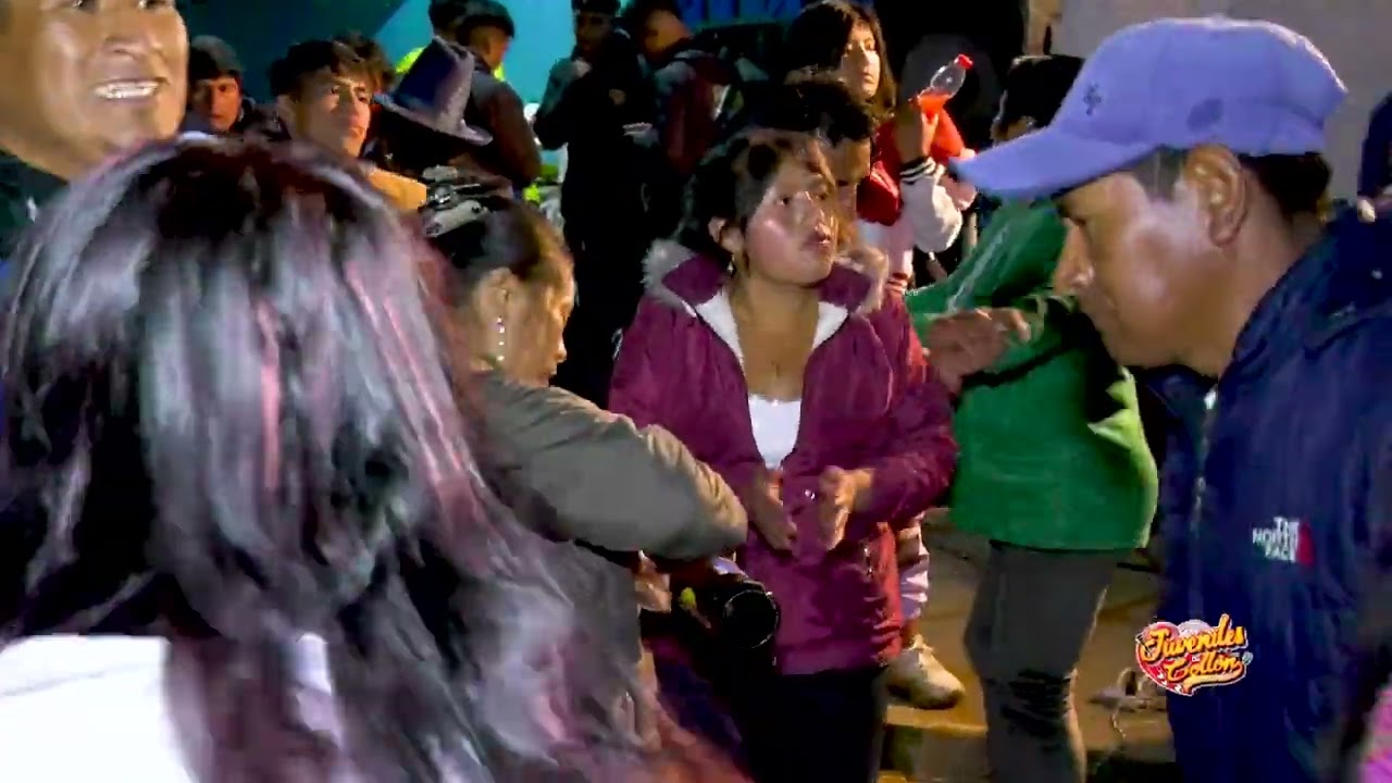 Roncadora los juveniles de collón (Parte 18)
