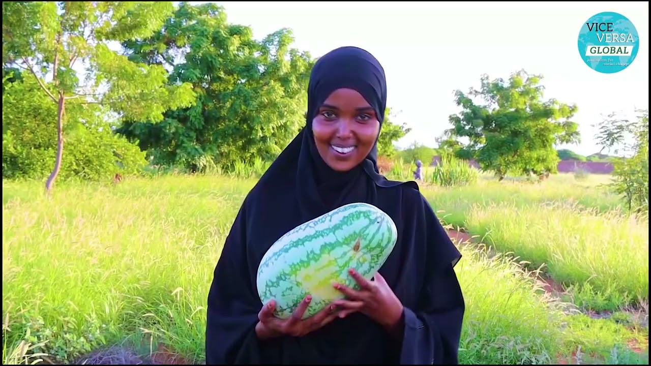 Wajir's Silent Food Revolution: From Pastoralism to Farming.