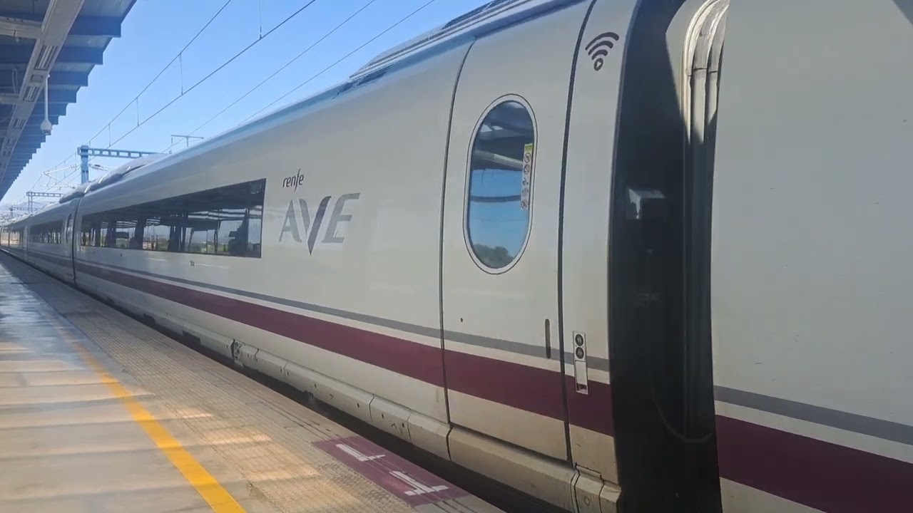 Ave saliendo de Camp de Tarragona