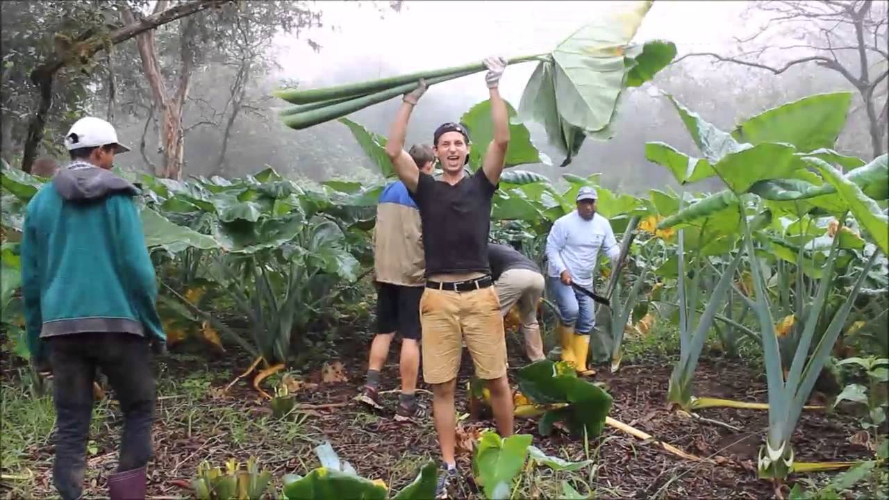 Conservation in the Galapagos Islands, Projects Abroad