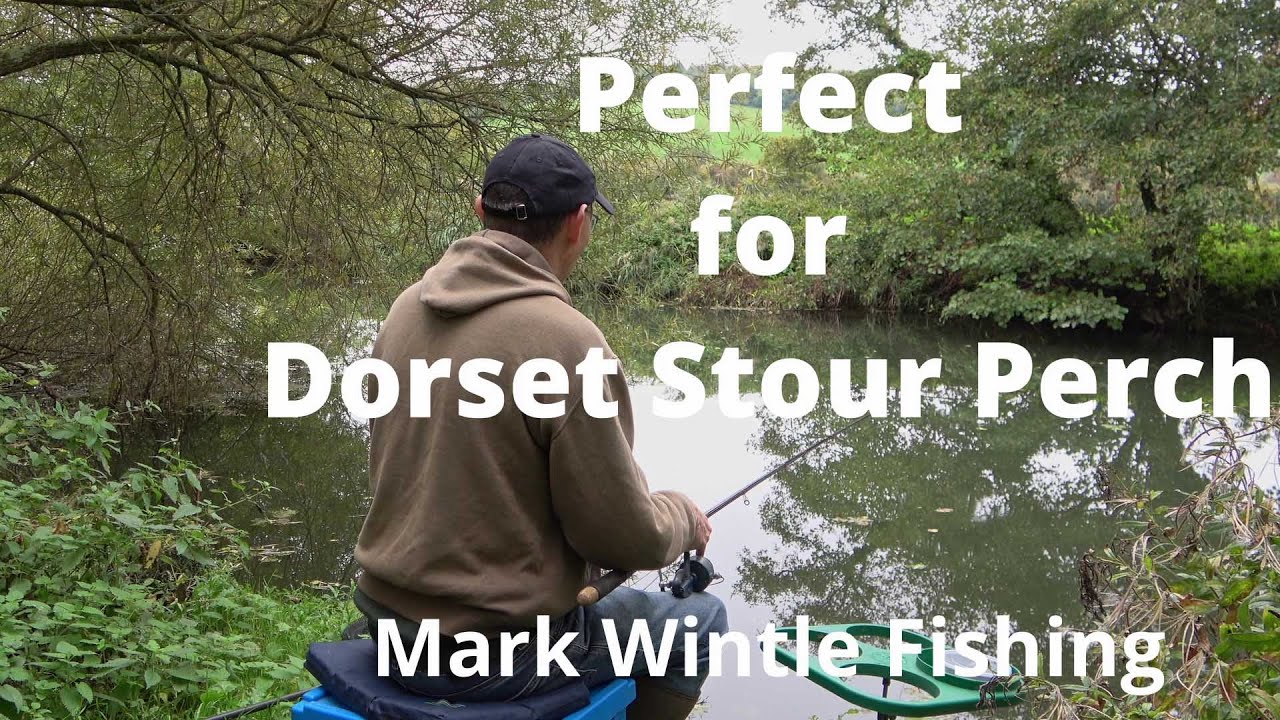 Perfect for Dorset Stour Perch