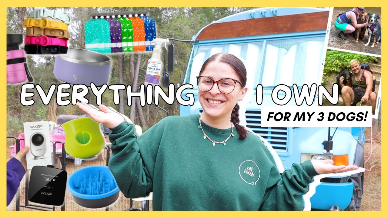 we moved into a school bus & this is EVERYTHING WE BROUGHT WITH US FOR THE DOGS! // dog haul