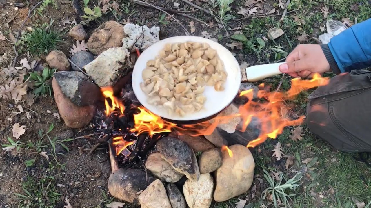Cincile Mantarı yapımı ( calocybe gambosa )