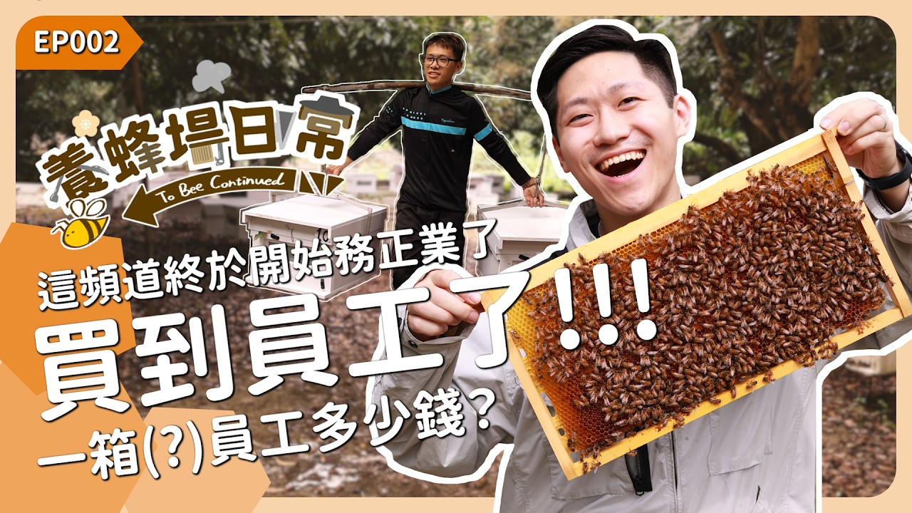 這頻道終於開始務正業了！一箱員工多少錢？《養蜂場日常 EP002》