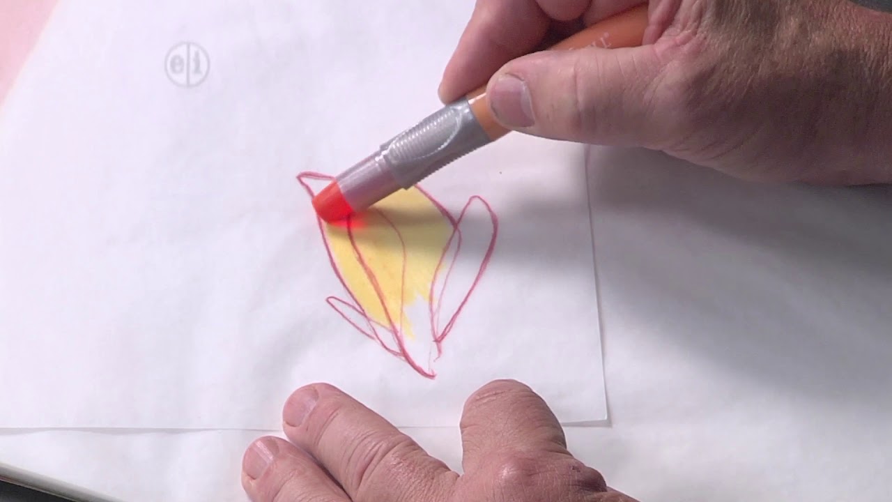 Make bug wings on Hands On Crafts for Kids with Franz Spohn (1805-3)
