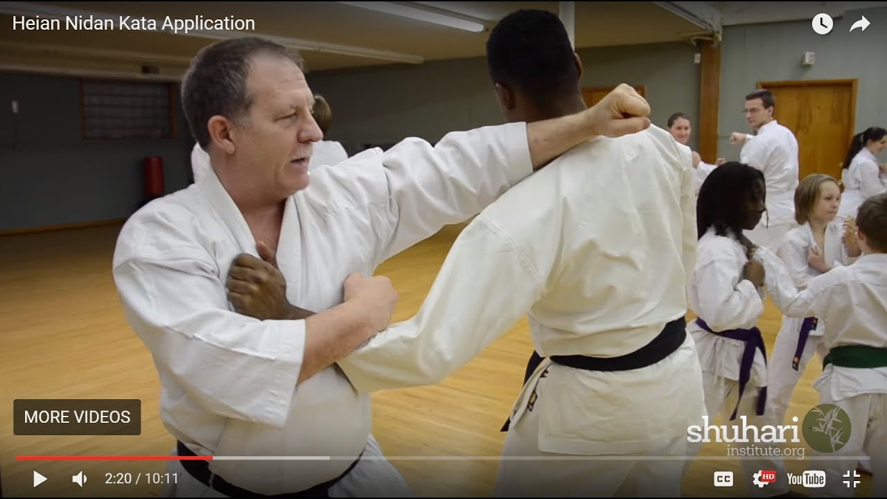 Heian Nidan Oyo / Bunkai Kata Application