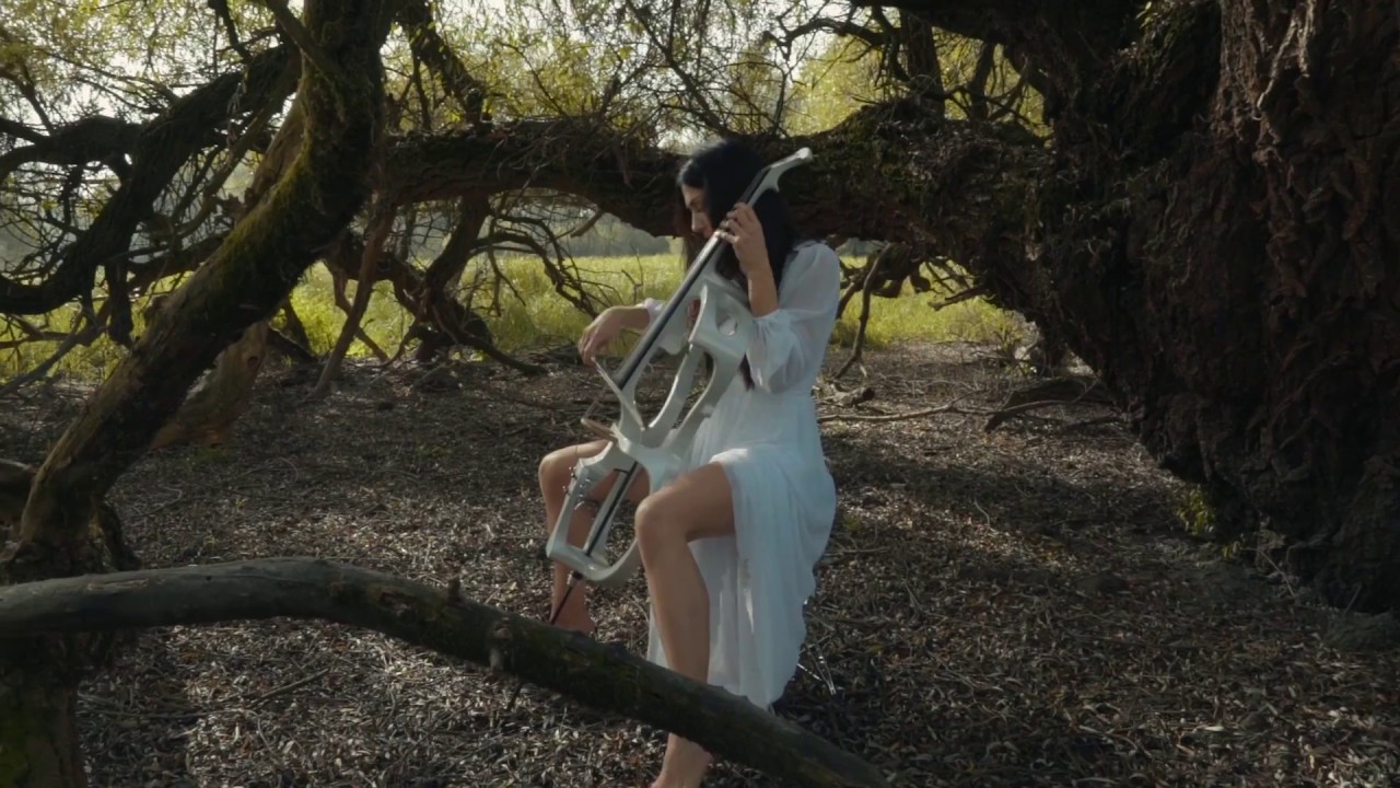 Kopački Rit In The Rythm Of Bolero by Ana Rucner