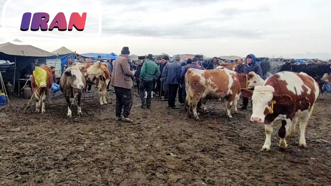 A tour of a rural market in Iran.