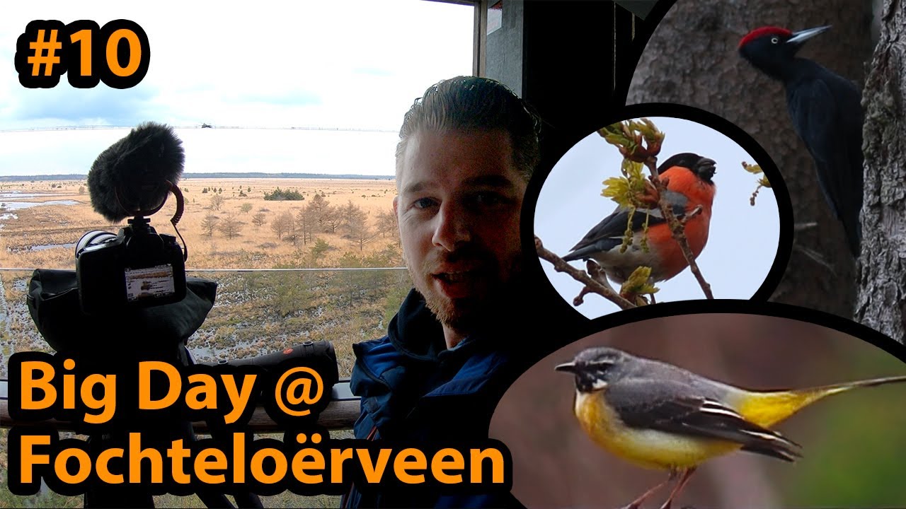 #10 Fochteloërveen Big Day