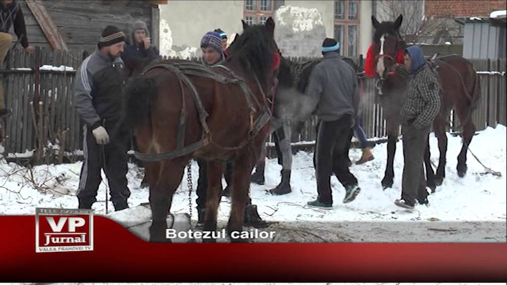 botezul cailor