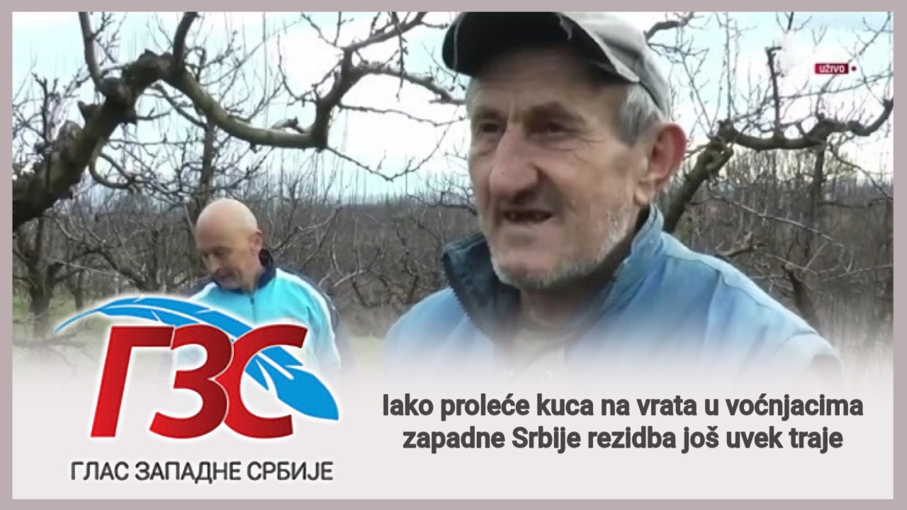 Prva TV - Iako proleće kuca na vrata u voćnjacima zapadne Srbije rezidba još uvek traje