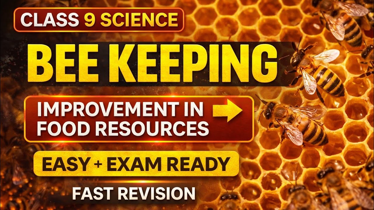 ✅ Bee Keeping Class 9 Science 🐝 | Improvement in Food Resources | Full Concept Explained 