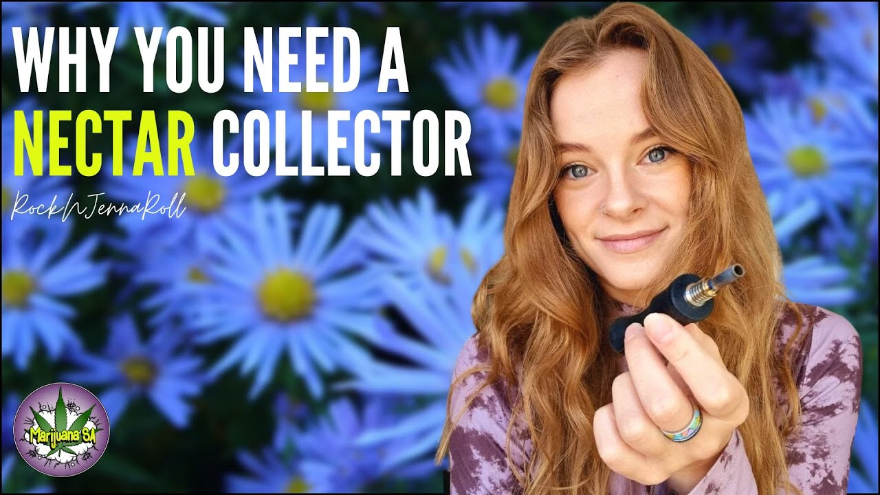 How To Use A Nectar Collector?