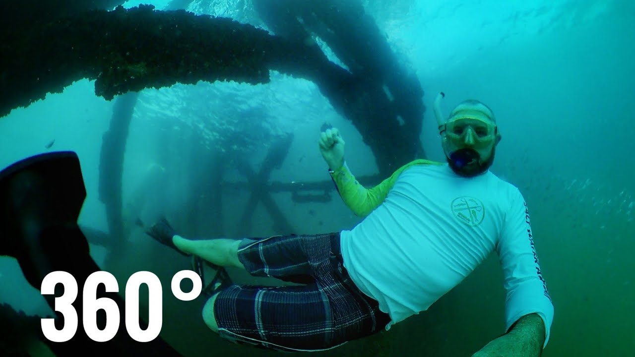 360&deg; Video | Underwater Fish on an Offshore Oilrig