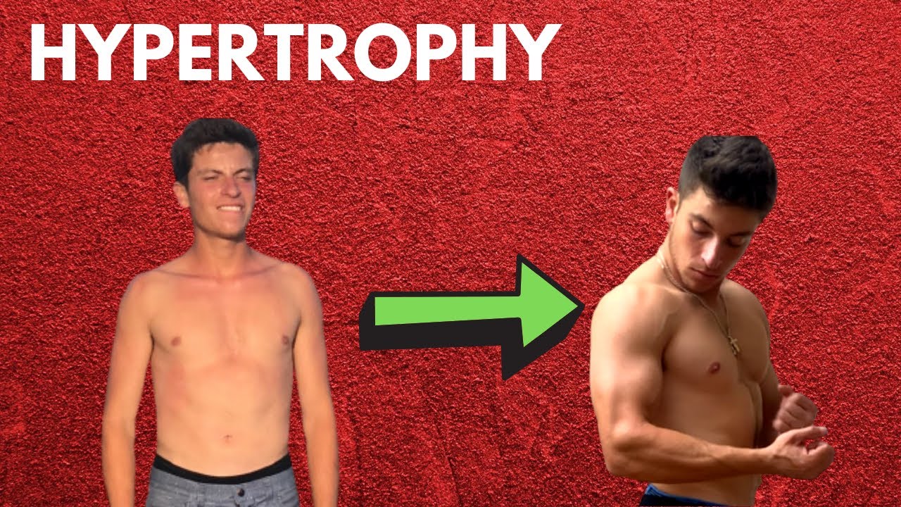 MY CURRENT 5-DAY WORKOUT SPLIT FOR MUSCLE GROWTH