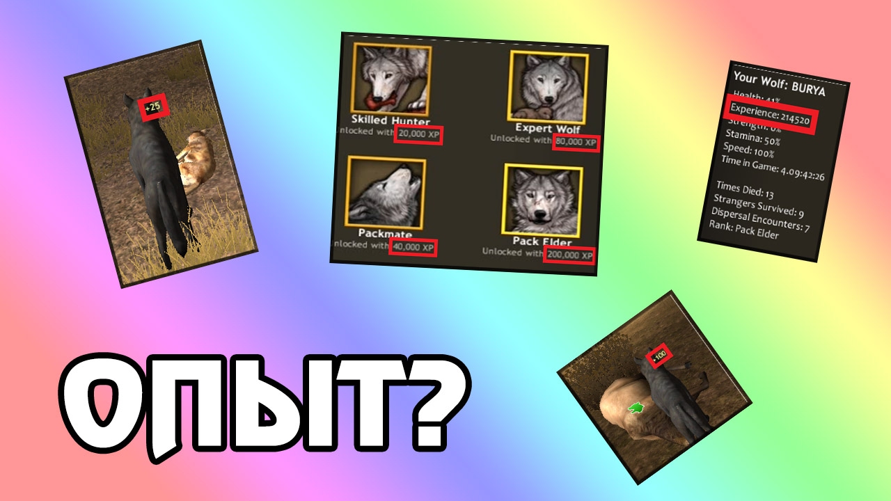 ВСЁ О ОПЫТЕ В WOLF QUEST 2.7.3