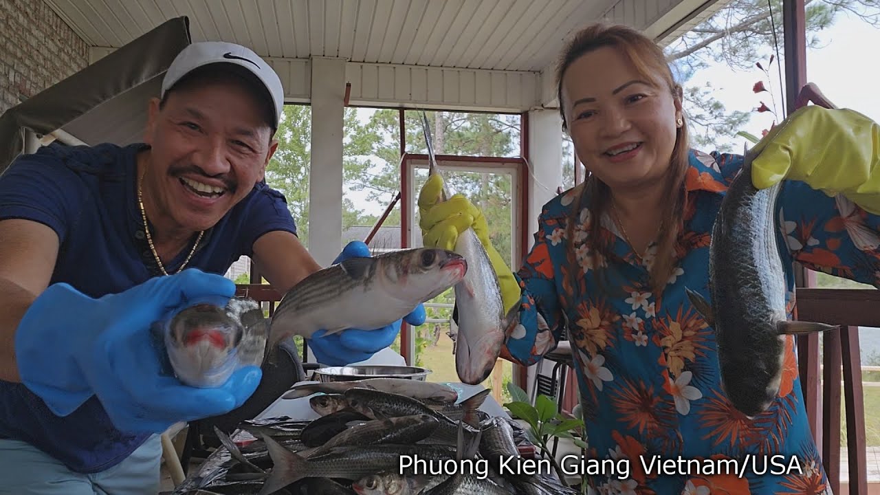 333,USA Chài Một Cái Dính Cá Kéo Mổi Mệt Làm Gì Kế Tiếp Có Món Ăn Ngon[Phuong Kien Giang Vietnam/USA