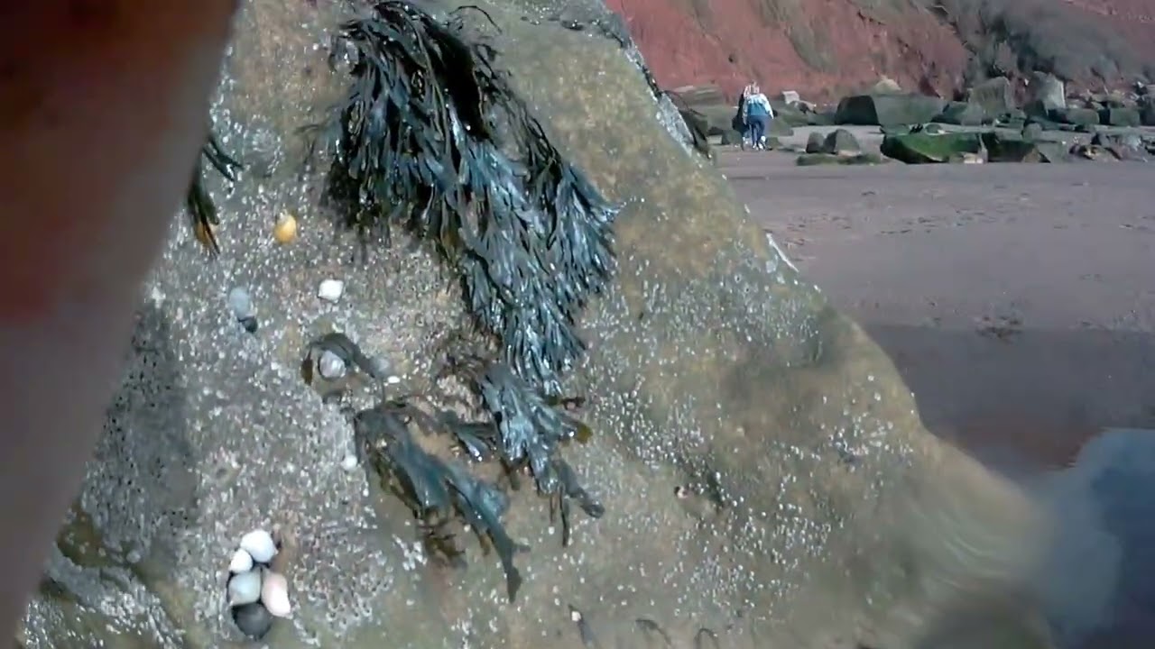 Walk from Exmouth to Sandy Bay. Testing the Apeman A80 action camera