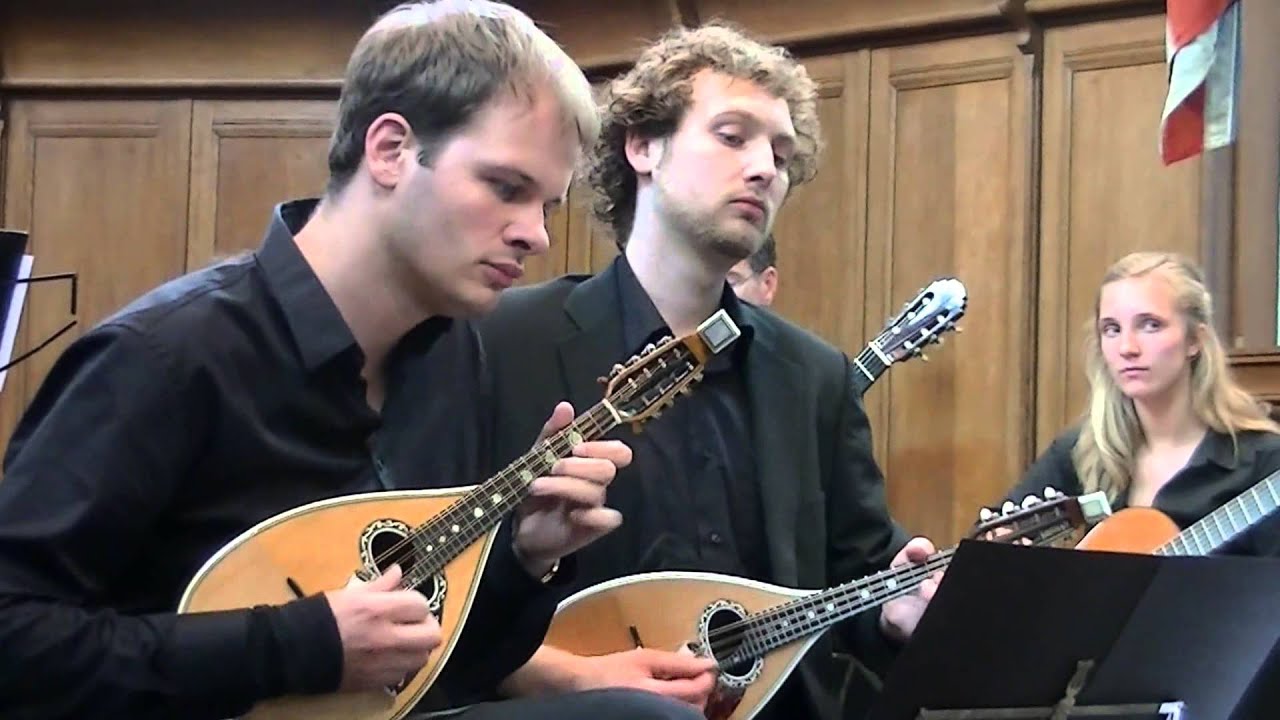 Antonio Vivaldi - Concerto for 2 Mandolins and Orchestra (RV532) by Het CONSORT