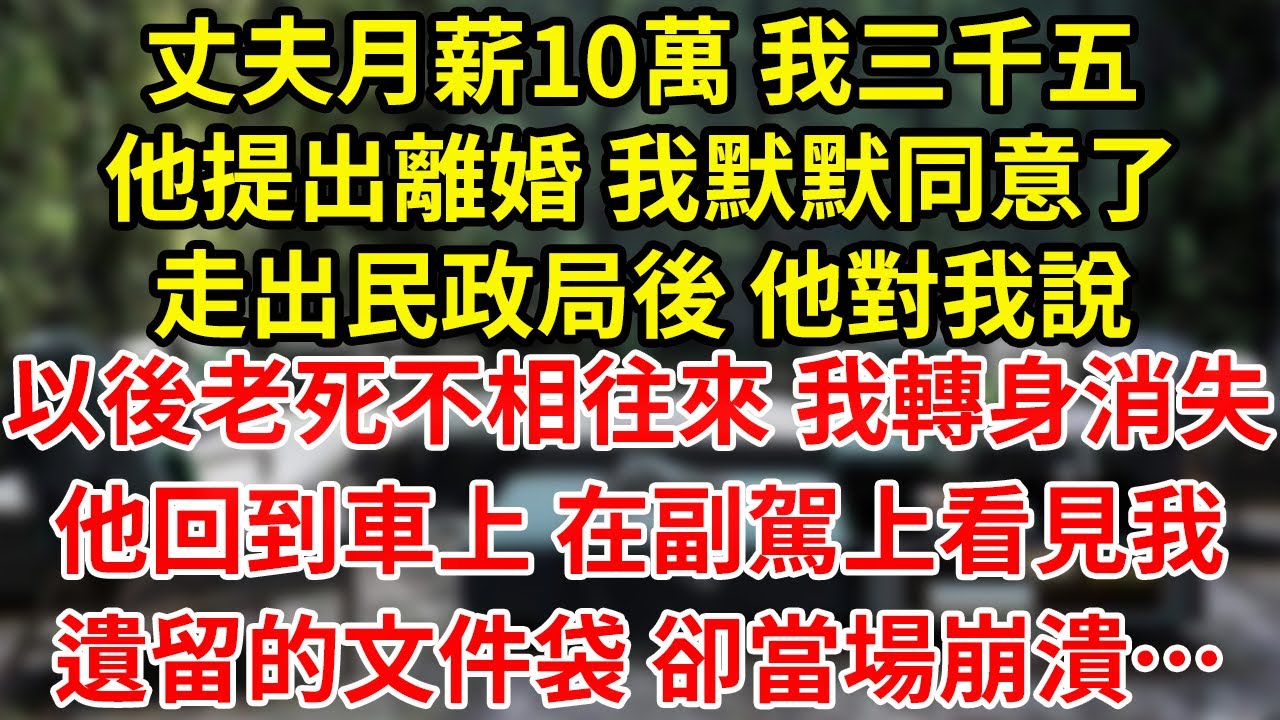 丈夫月薪10萬 我三千五他提出離婚 我默默同意了走出民政局後 他對我說以後老死不相往來 我轉身消失他回到車上 在副駕上看見我遺留的文件袋 卻當場崩潰…#為人處世#養老#中年