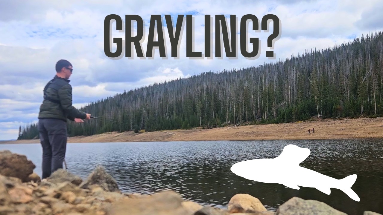 The Quest for Arctic Grayling
