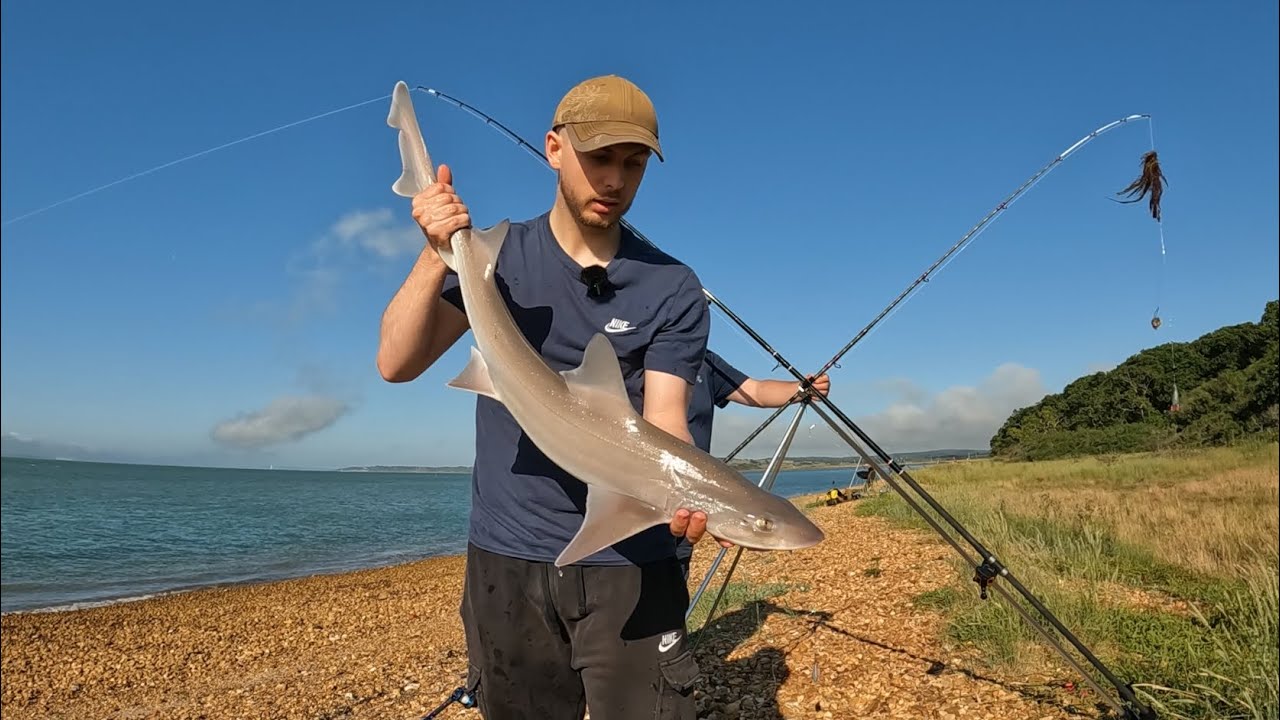 SO Lucky I DIDN'T Change My Bait... Solent Smooth Hound Fishing!