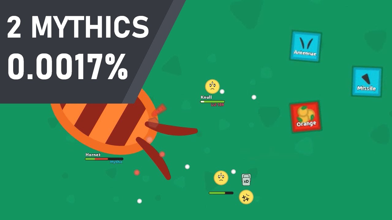 Rarest Things In Florr.io