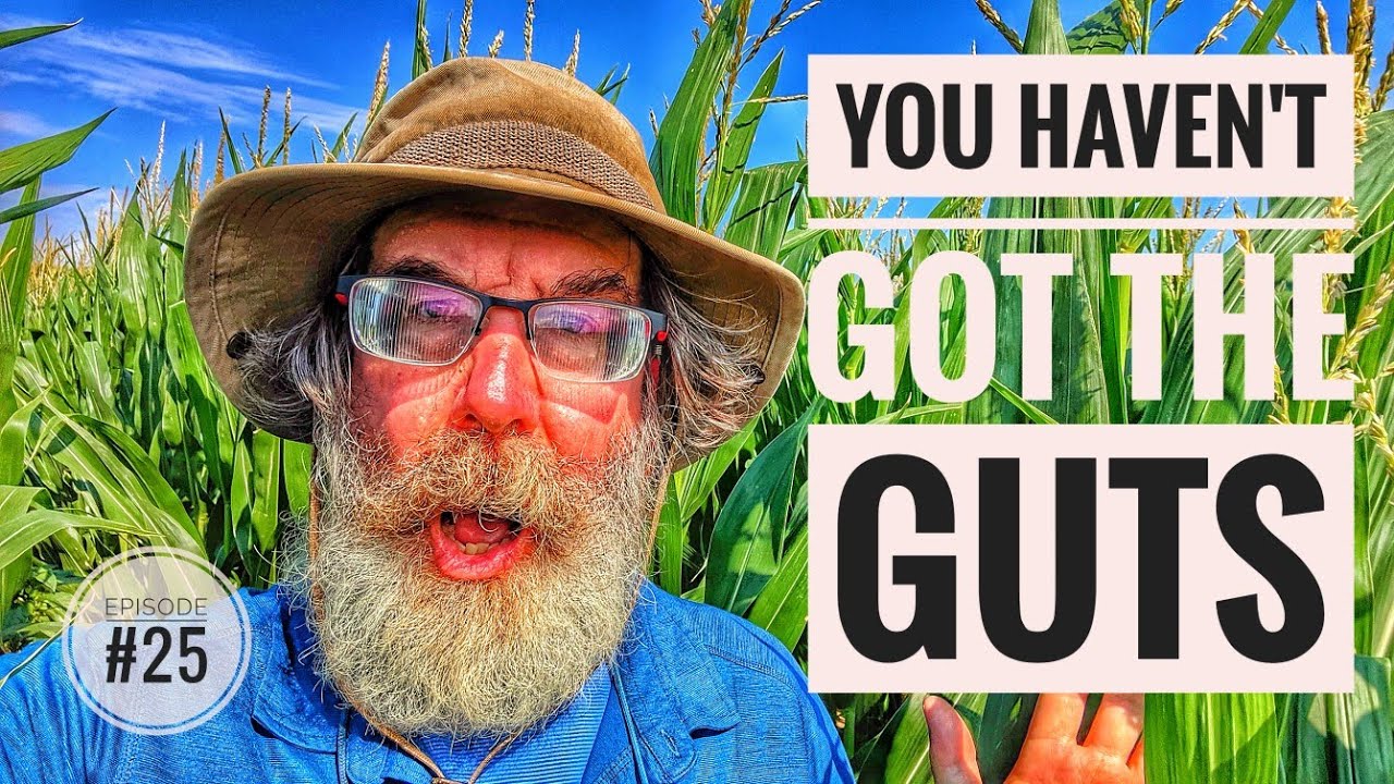 You Haven't Got the Guts - WALK ACROSS AMERICA