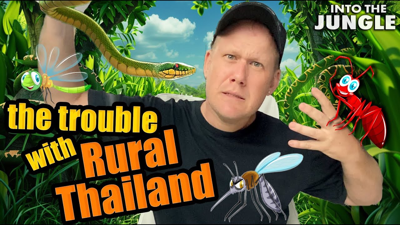 The trouble with RURAL THAILAND