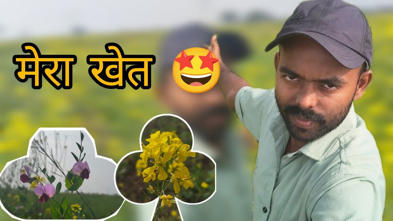 🍃 Shehar se Door | Gaon ke Khet ka Nazara | Village Video|Daily vlogs 