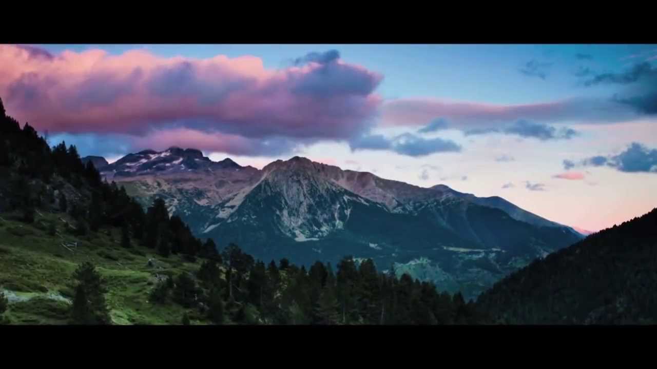 Avicii - Wake Me Up (Lyric Video) [Official ◀♫ REVERSED music video HD]