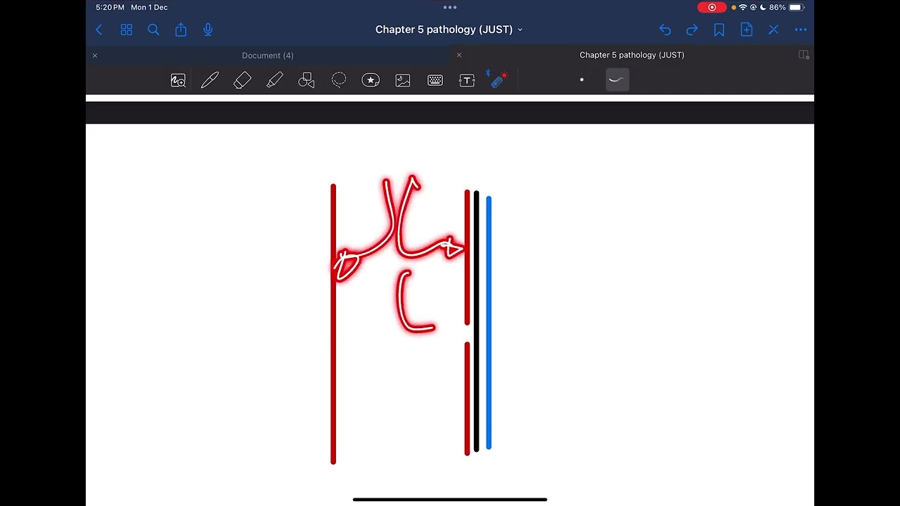 Pathology chapter 5 part 3