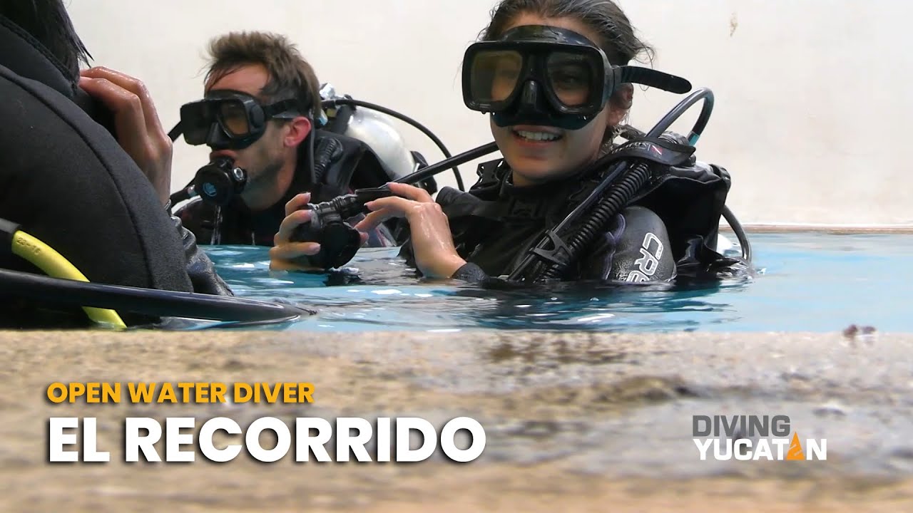 Recorrido Open Water Diver - Diving Yucatan