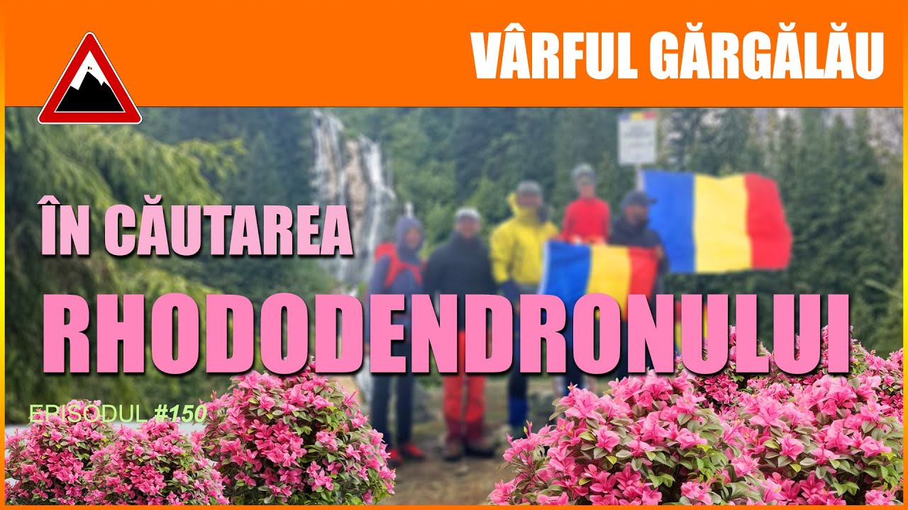 Telescaun Borsa - Lacul Stiol - Vf Gargalau 2158 m - Cascada Cailor | In cautarea RHODODENDRONULUI